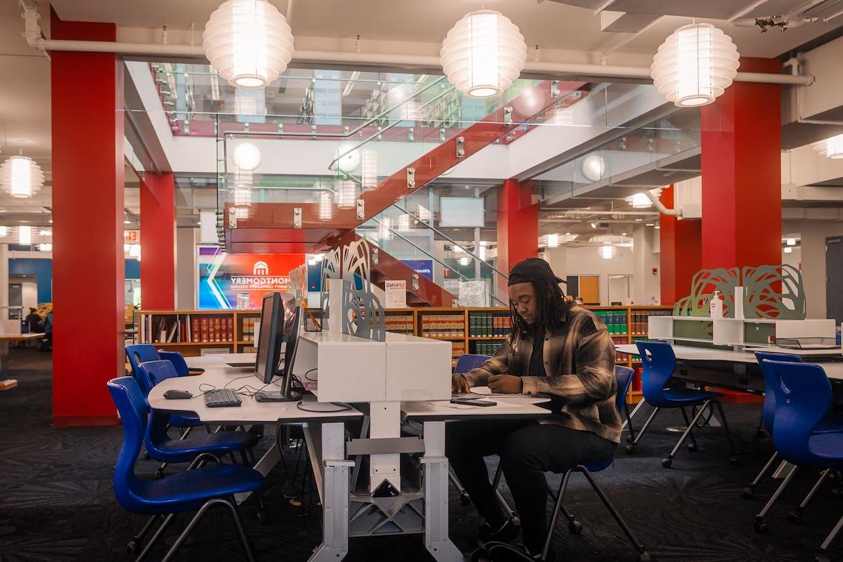 Image of student studying within the College Hall Library at the Blue Bell Campus